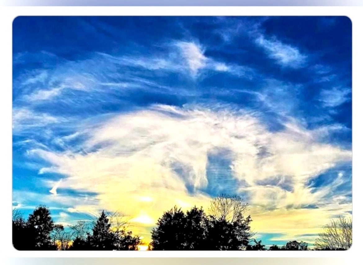 Original Photograph 3x5 Magnet “Heavenly”