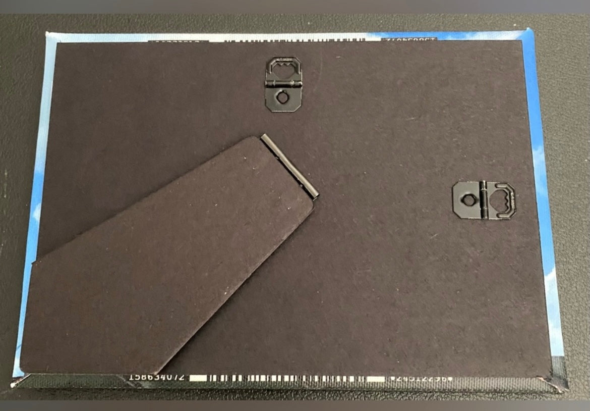 Original Photography Design “Palm Trees” Easel Back Canvas 5x7