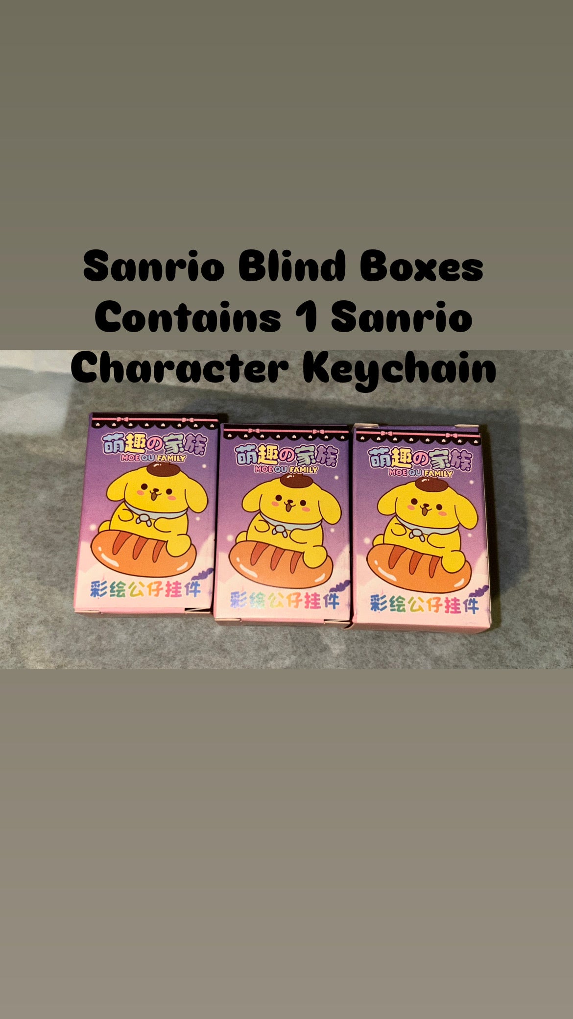 Sanrio Blind Box - Sanrio Mystery Character Keychain