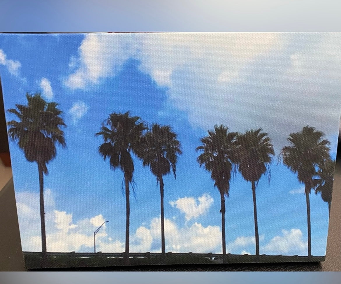 Original Photography Design “Palm Trees” Easel Back Canvas 5x7