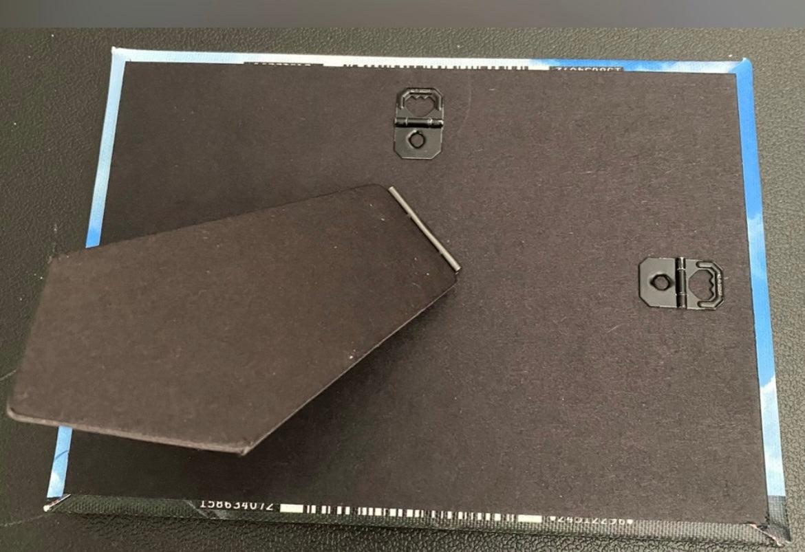 Original Photography Design “Palm Trees” Easel Back Canvas 5x7