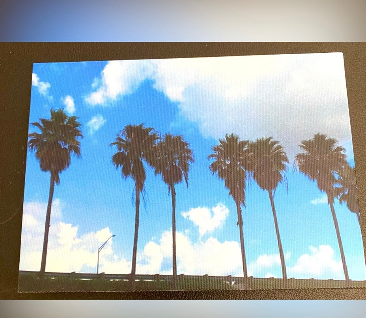Original Photography Design “Palm Trees” Easel Back Canvas 5x7